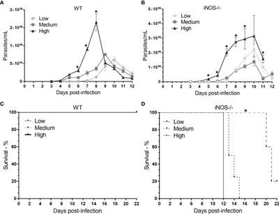 Predicting Blood Parasite Load and Influence of Expression of iNOS on the Effect Size of Clinical Laboratory Parameters in Acute Trypanosoma cruzi Infection With Different Inoculum Concentrations in C57BL/6 Mice